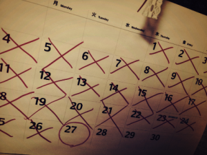 IMG_20121127_1.png